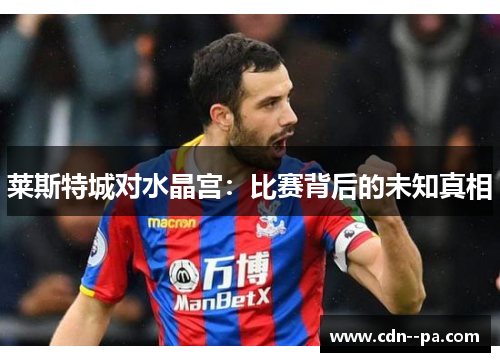 莱斯特城对水晶宫：比赛背后的未知真相