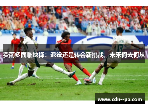 费南多面临抉择：退役还是转会新挑战，未来何去何从