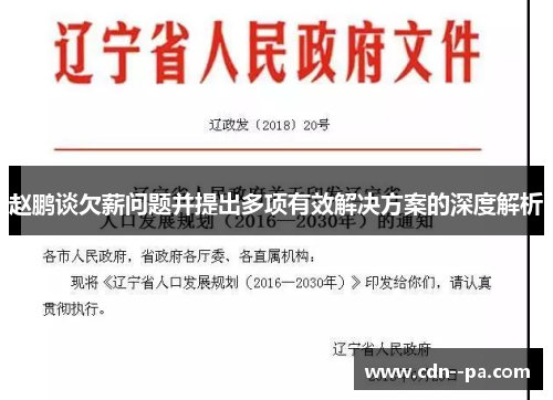 赵鹏谈欠薪问题并提出多项有效解决方案的深度解析