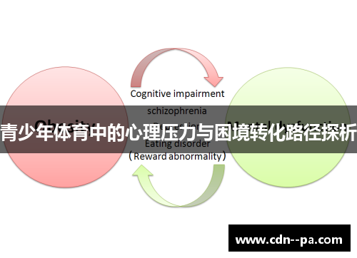青少年体育中的心理压力与困境转化路径探析