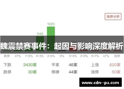 魏震禁赛事件:起因与影响深度解析 魏震禁赛事件:起因与影响深度解析