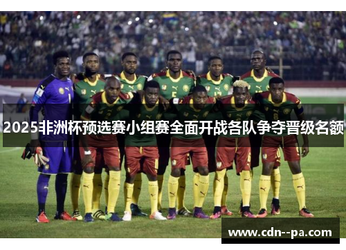 2025非洲杯预选赛小组赛全面开战各队争夺晋级名额