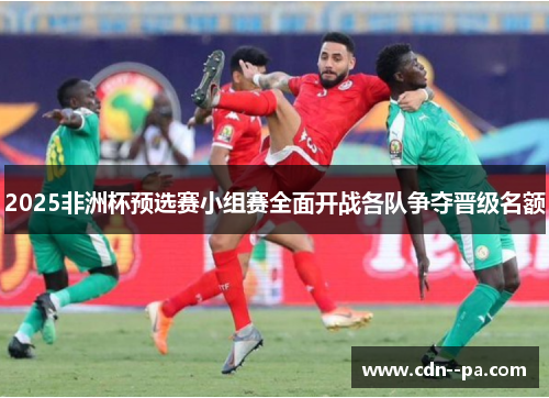 2025非洲杯预选赛小组赛全面开战各队争夺晋级名额