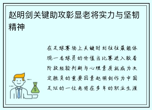 赵明剑关键助攻彰显老将实力与坚韧精神