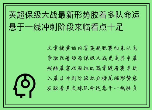 英超保级大战最新形势胶着多队命运悬于一线冲刺阶段来临看点十足