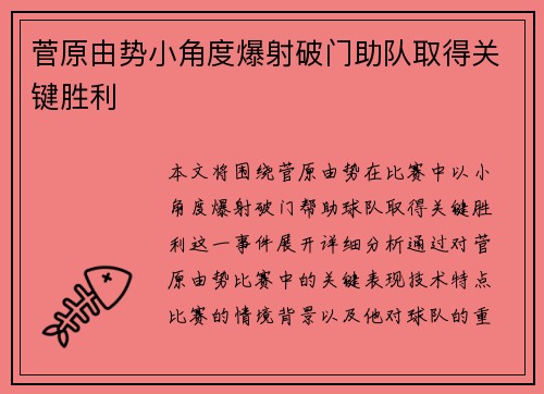 菅原由势小角度爆射破门助队取得关键胜利