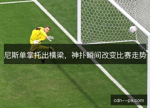 尼斯单掌托出横梁，神扑瞬间改变比赛走势