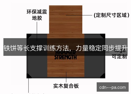 铁饼等长支撑训练方法，力量稳定同步提升